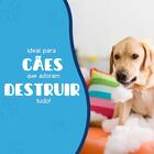 Brinquedo Buddy Toys Parafuso Nylon