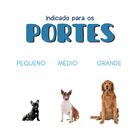 Brinquedo Buddy Toys Pneu Nylon Vermelho