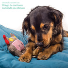 Brinquedo Cachorro Pelúcia Pet Casco De Boi Madog Kit Com 4