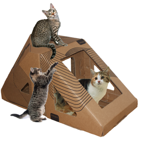 Brinquedo, Casa, Toca E Túnel Para Gatos Triângulo+poli