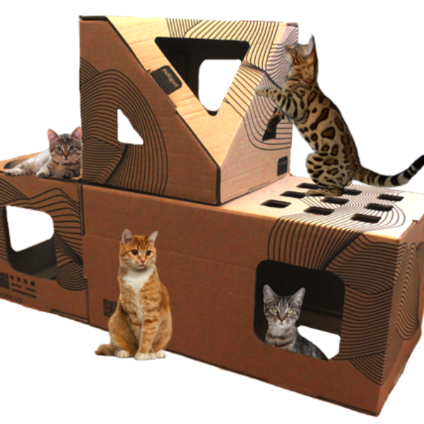 Brinquedo Casa Toca Para Gatos Cubo + Retângulo + Poli