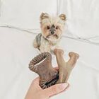 Brinquedo De Roer Para Cães Filhotes Benebone Puppy 2- Pack B