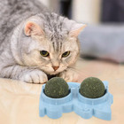 Brinquedo Erva De Gato Pet Catnip Menta Bola Bolinha Natural