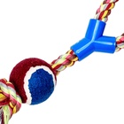 Brinquedo Forca com Bola  para Cachorro Adulto Colorido Plástico Chalesco