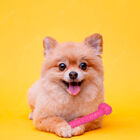 Brinquedo Mordedor Osso Resistente Emborrachado Para Cachorro