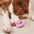 Brinquedo Mordedor Para Cachorro Argola Com Puxador De Corda