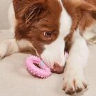 Brinquedo Mordedor Para Cachorro Argola Com Puxador De Corda