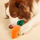 Brinquedo Mordedor Para Cachorro Cenoura Pelúcia Com Apito 15