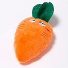 Brinquedo Mordedor Para Cachorro Cenoura Pelúcia Com Apito 15