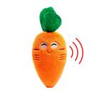 Brinquedo Mordedor Para Cachorro Cenoura Pelúcia Com Apito 15