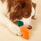 Brinquedo Mordedor Para Cachorro Cenoura Pelúcia Com Apito 15