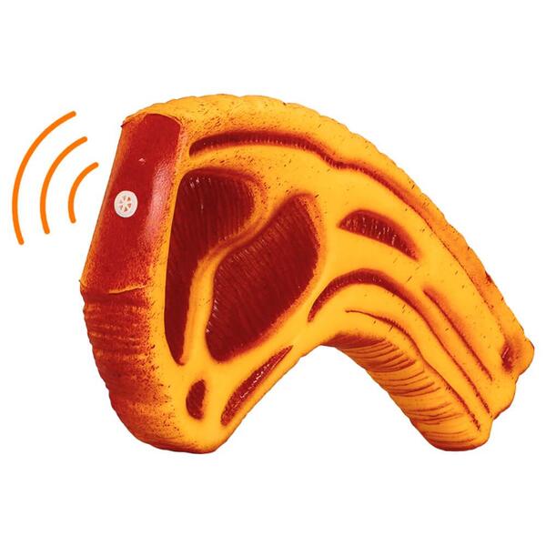 Brinquedo Mordedor Para Cachorro Com Apito Sonoro Bife De Bor