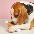 Brinquedo Mordedor Para Cachorro Coxa De Frango Pelúcia Com A