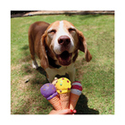 Brinquedo Mordedor Sorvete De Casquinha Para Cachorros Mimo P