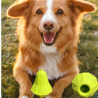 Brinquedo Para Cachorro 3d Recheavel Fruta Geométrica Modelo