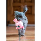 Brinquedo Pet Cuzzle Buddies Porquinho