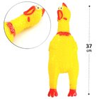 Brinquedo Pet Galinha De Borracha 37 Cm