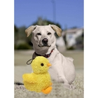 Brinquedo Pet Look Who´s Talking: Pintinho Amarelinho