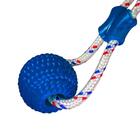 Brinquedo Puxador Para Cachorro Com Ventosa Azul - Casambiente