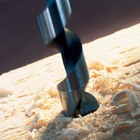 Broca Serpentina Madeira Bosch 12mmx235mm