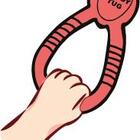 Buddy Tug Cabo De Guerra Brinquedo Interativo Buddy Toys