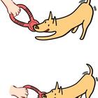 Buddy Tug Cabo De Guerra Brinquedo Interativo Buddy Toys