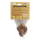 Bulbo Gladíolos Amsterdan Geolia