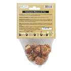 Bulbo Gladíolos Black Star Geolia