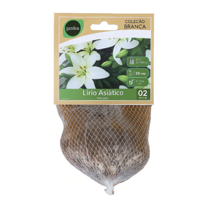 Foto de Bulbo Lírio Asiático Navona