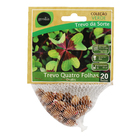 Bulbo Trevo de 4 Folhas Geolia