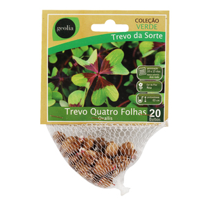 Foto de Bulbo Trevo de 4 Folhas