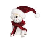 Bulldog Decorativo C/ Gorro E Laço 21x14x18 Mfm/vrm 1921901