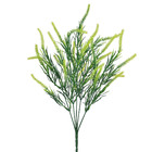 Buquê Cattail Pequeno Verde Grillo