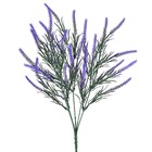 Buquê Cattail Pequeno Lavanda Grillo