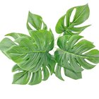 Buquê Costela De Adão Permanente Decorativo