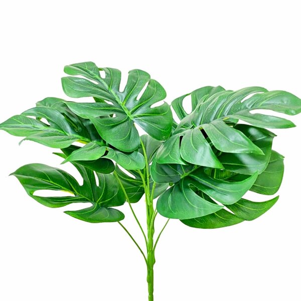 Buquê Costela De Adão Permanente Decorativo