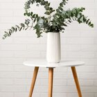 Buquê De Eucalipto Decoração Grande I Flores Desidratadas