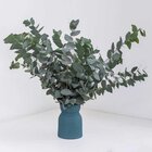 Buquê De Eucalipto Decoração Grande I Flores Desidratadas