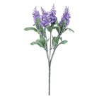 Buque de Lavanda com 5 Hastes