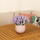 Buque de Lavanda com 5 Hastes