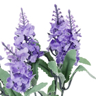 Buque de Lavanda com 5 Hastes