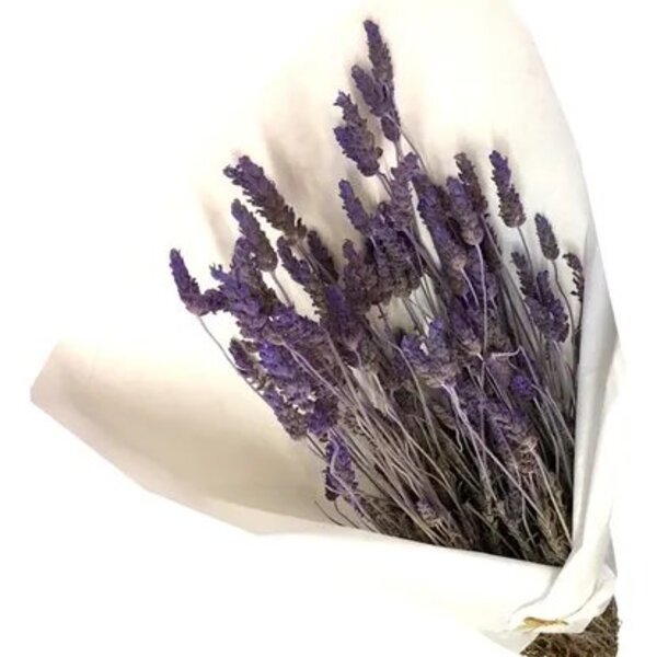 Buquê De Lavanda Natural I Flores Desidratadas