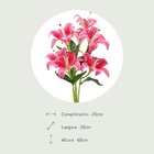 Buquê De Lírios 3d X5