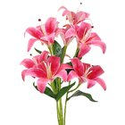 Buquê De Lírios 3d X5