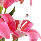 Buquê De Lírios 3d X5