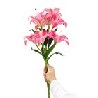 Buquê De Lírios 3d X5