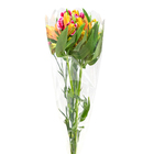 FLOR DE CORTE BUQUE ELEGANÇE