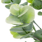 Buquê Eucalipto 35x14x35cm Verde Claro Grillo