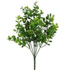 Buque Eucalipto Médio 36x20 Verde Grillo