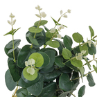 Buque Eucalipto Médio 48x18cm Verde Grillo